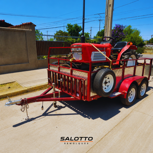 MODELO S-3018 D