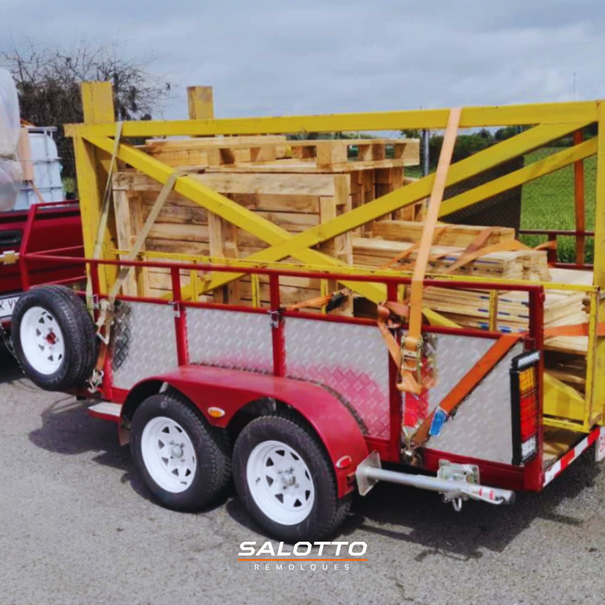 MODELO S-3018 D
